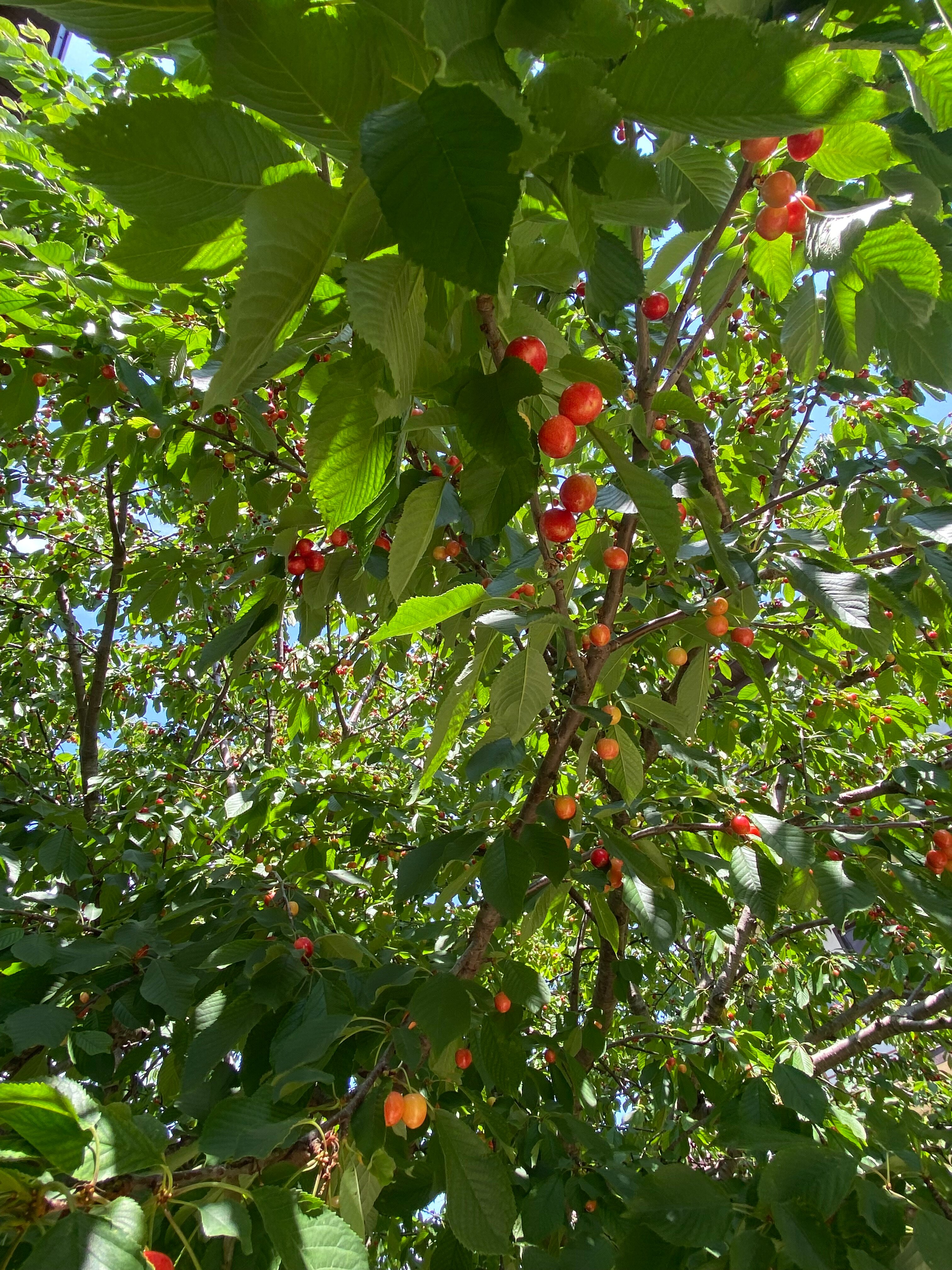 Фото Родительский Очаг