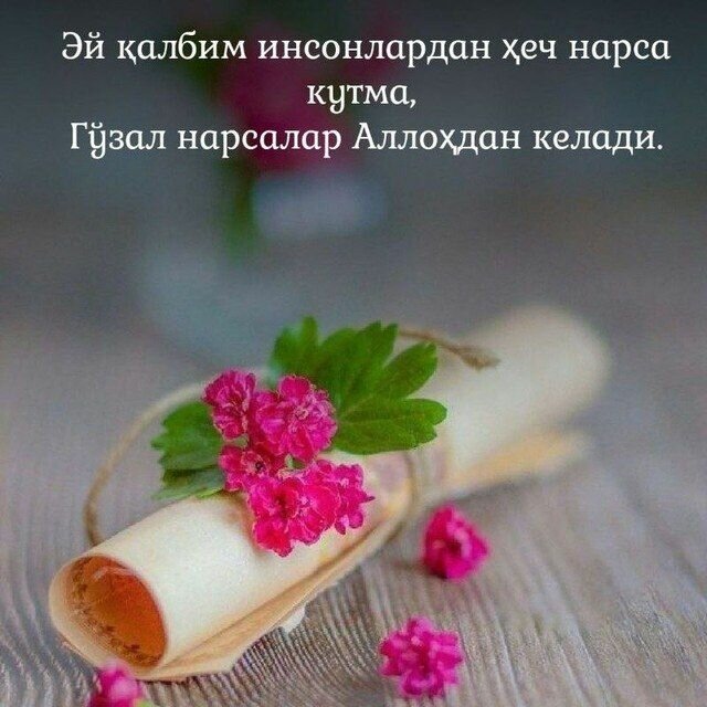 Кафе Аср Мужизаси, Карши, фото