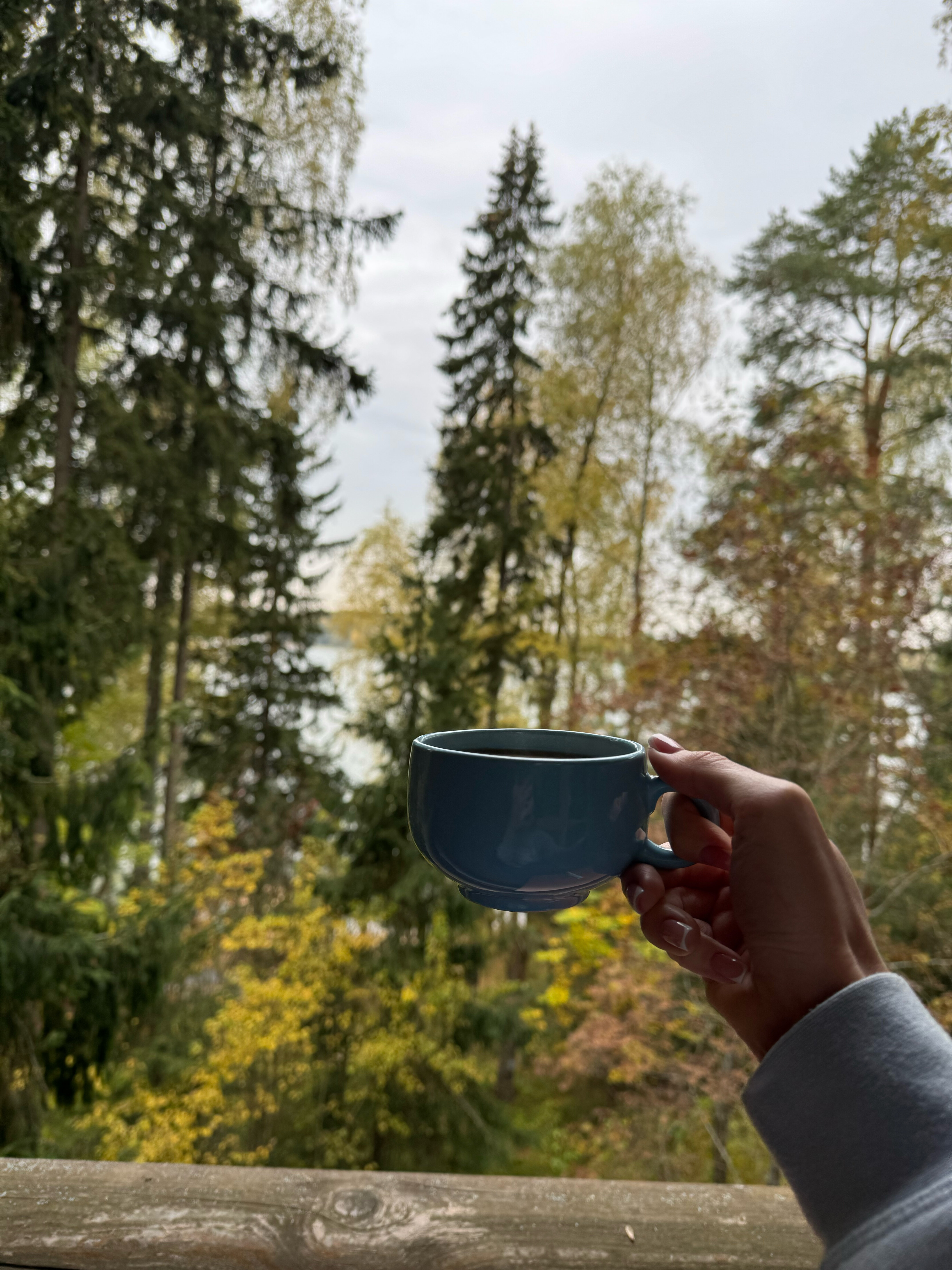 Фото Лада hotel