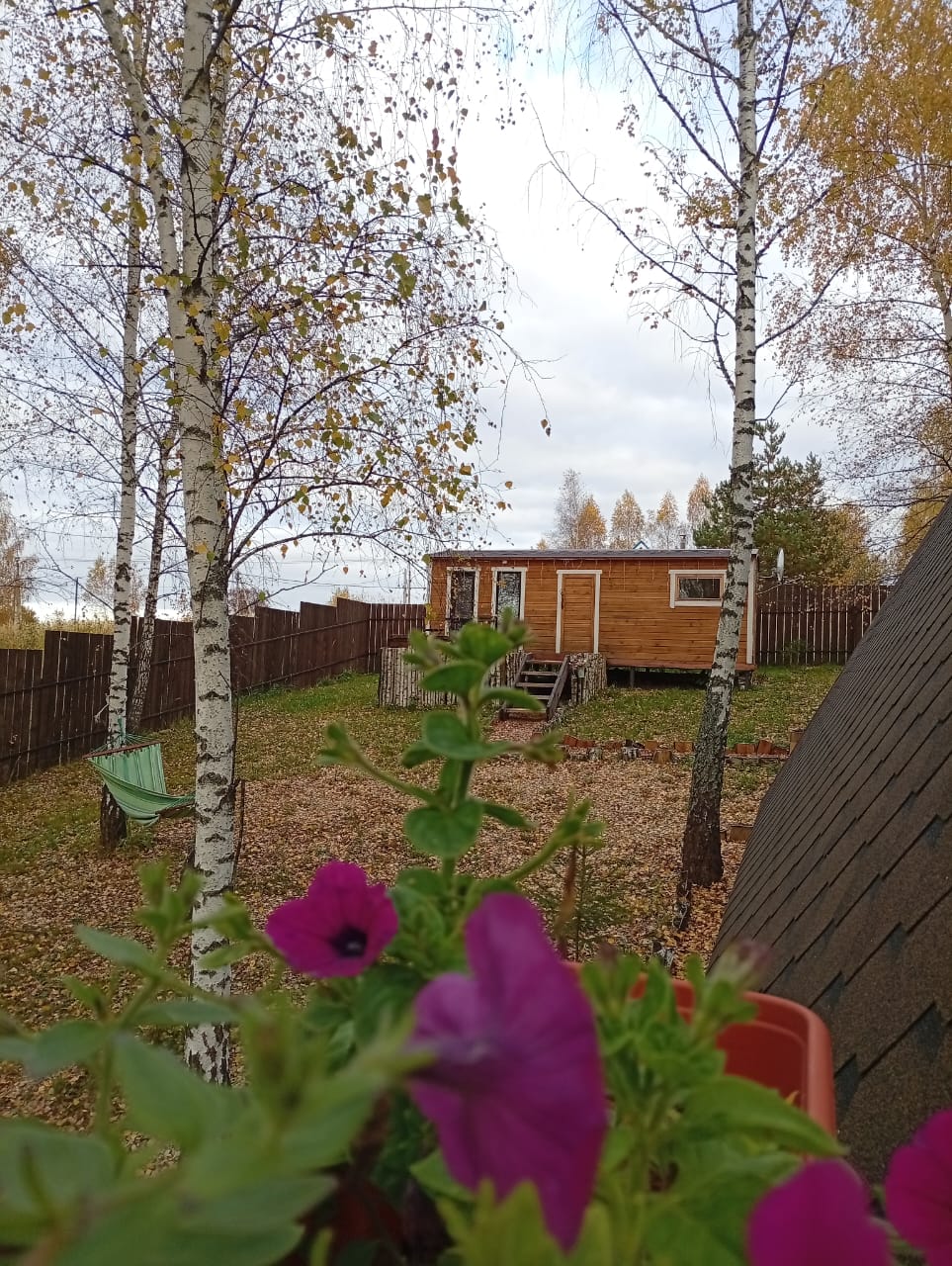 Фото Дом у озера в лесу