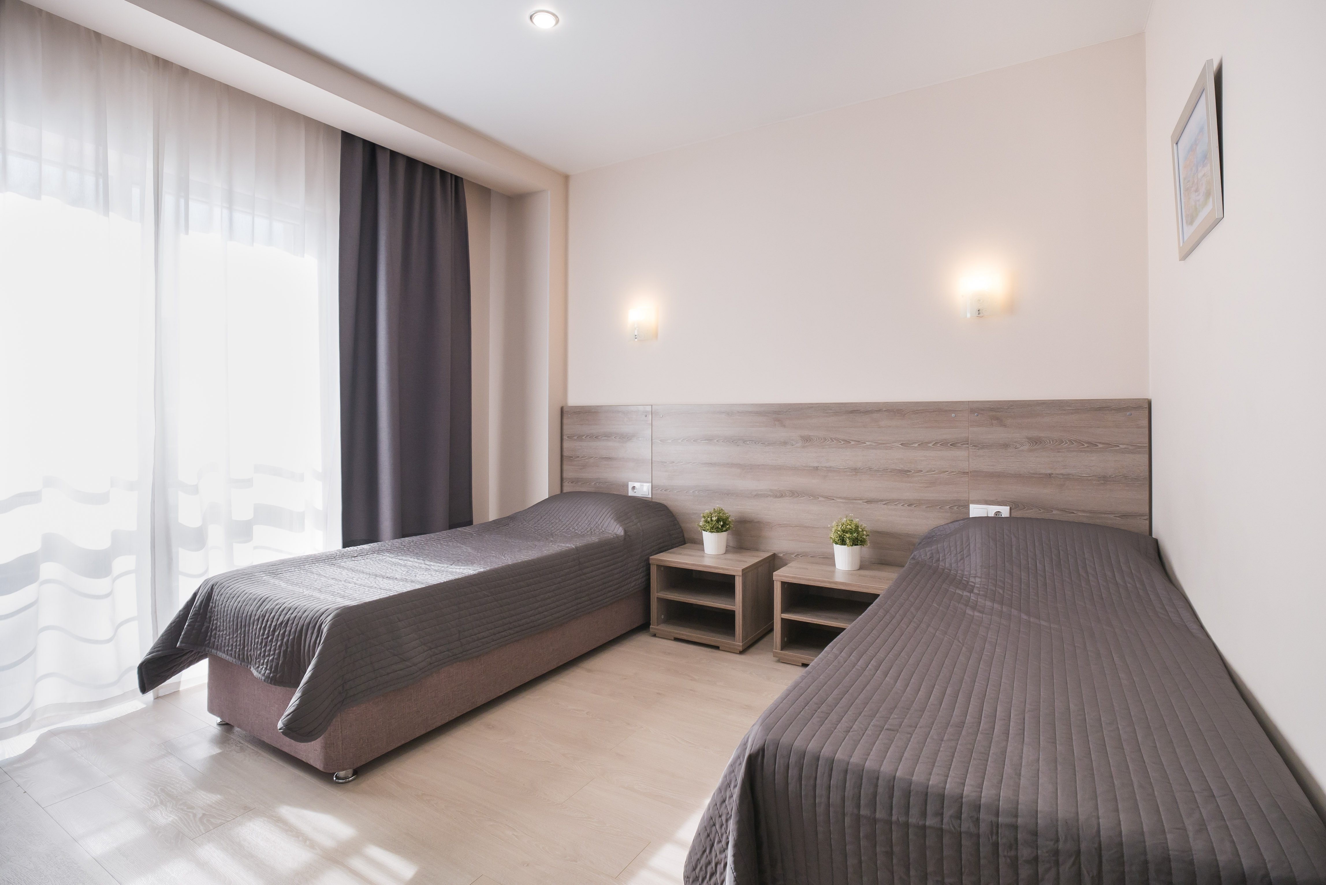 Фото Абрикос Плюс