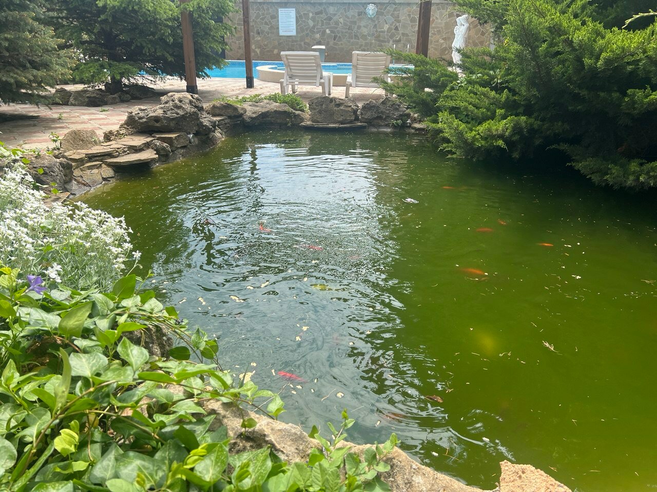 Фото Вилла Елена