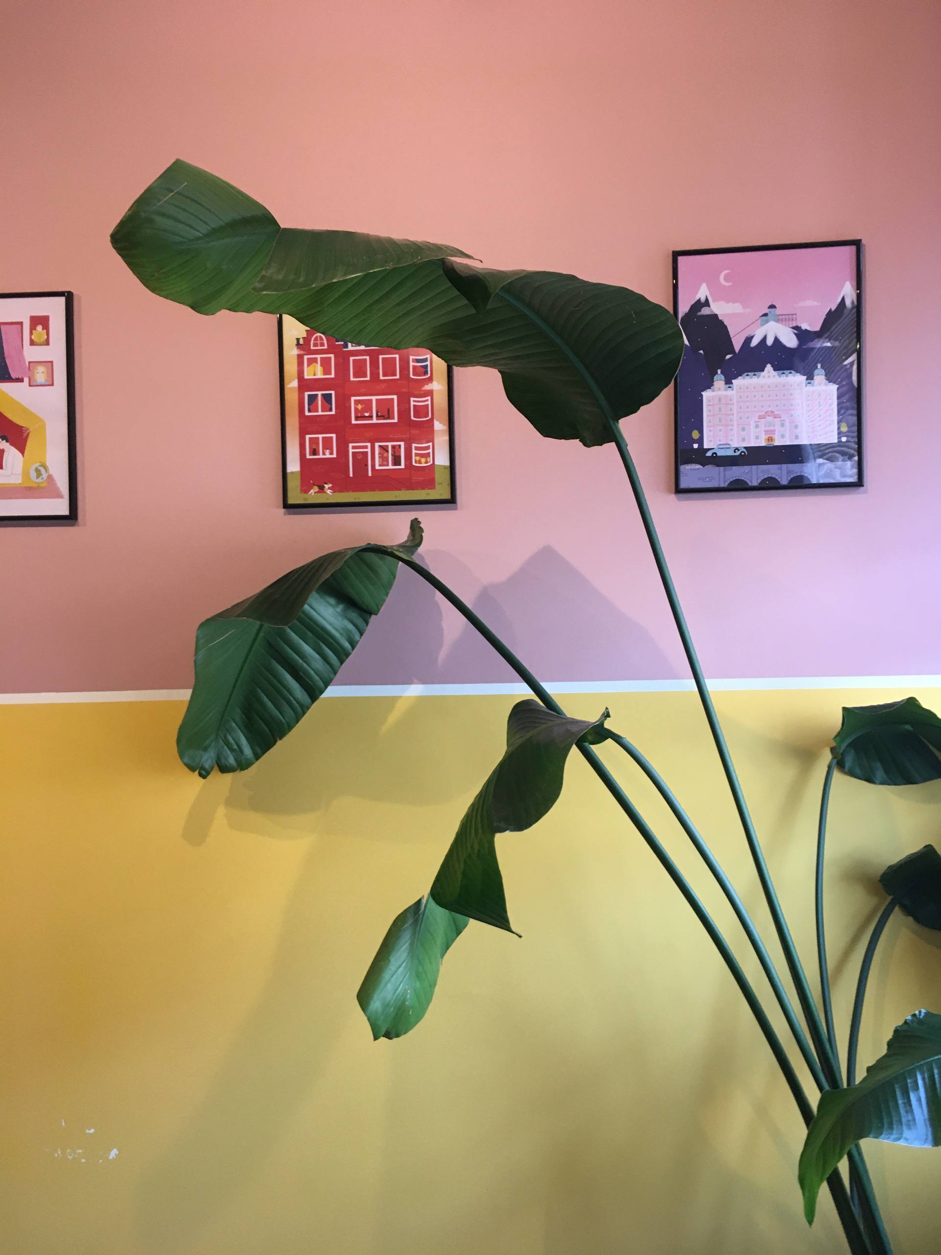 Фото Лесная Ванна