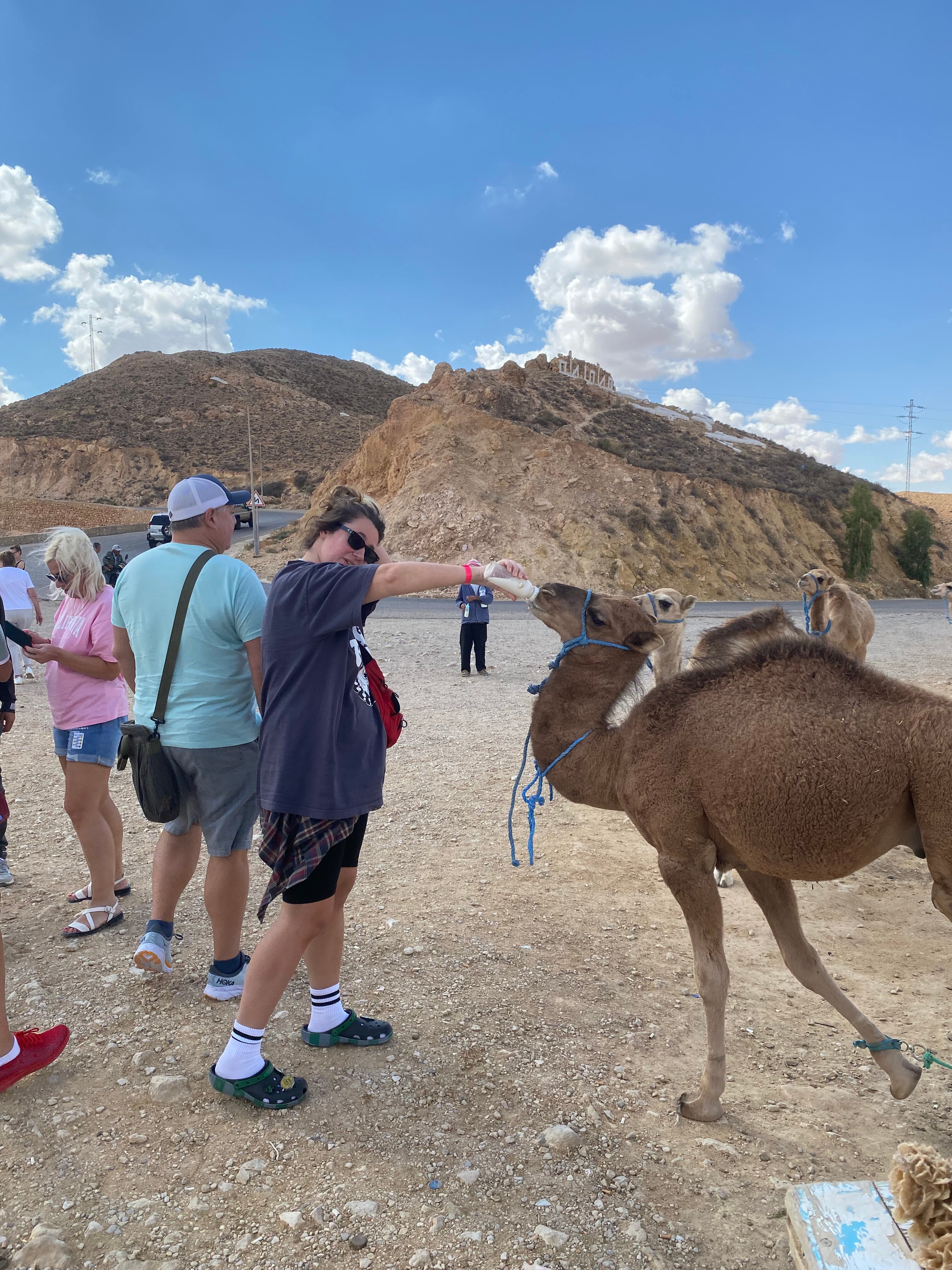 Фото Zodiac Hotel