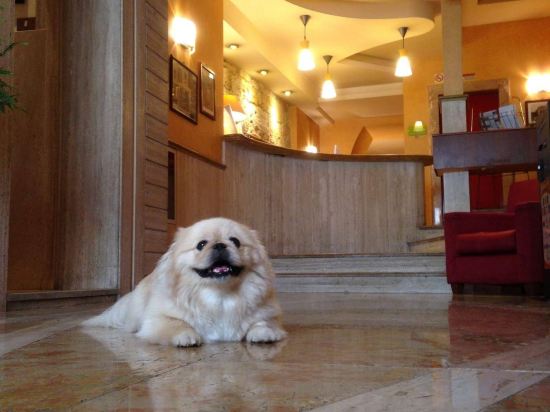 Фото Hotel Posta