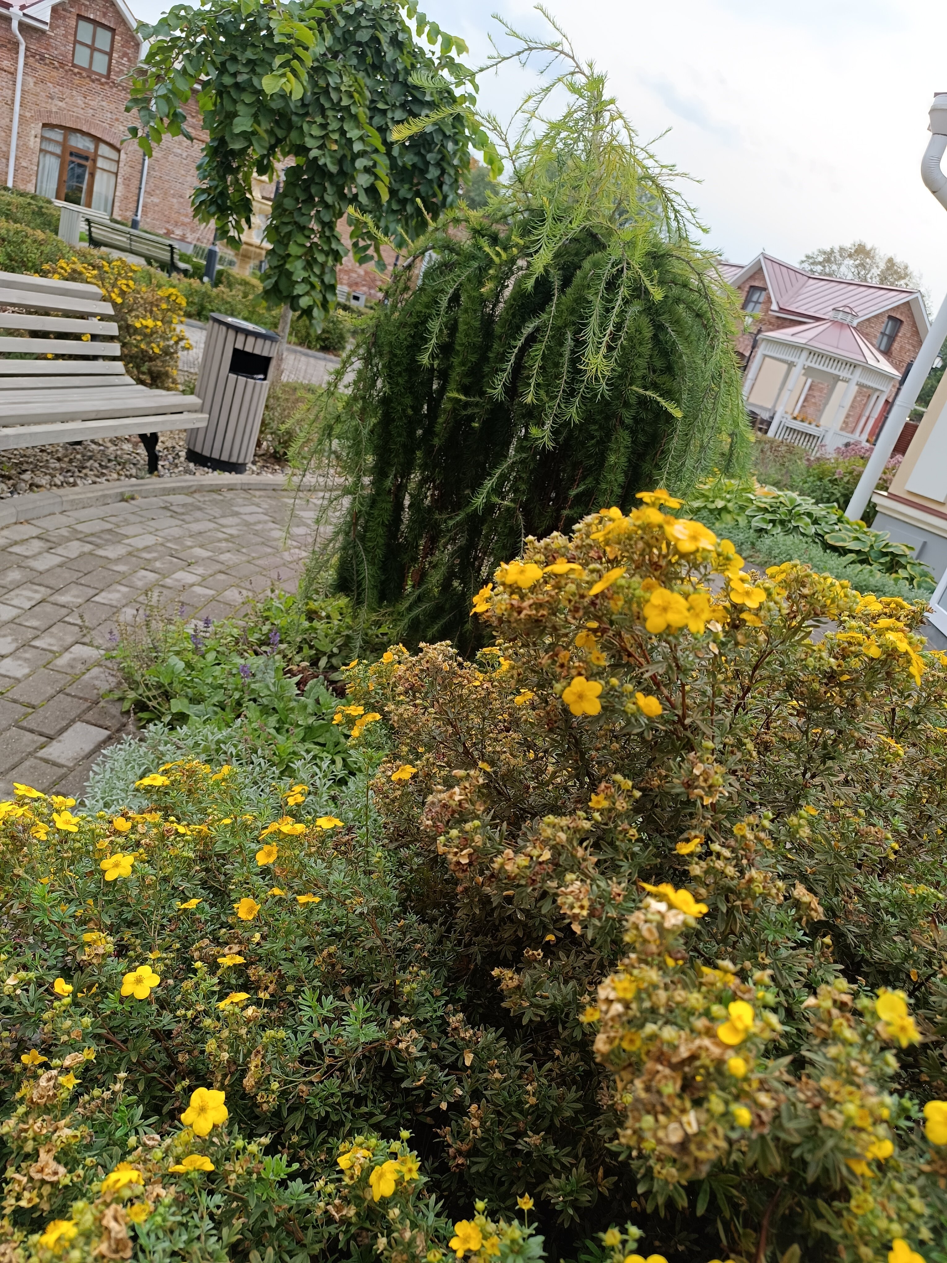 Фото Воздвиженский