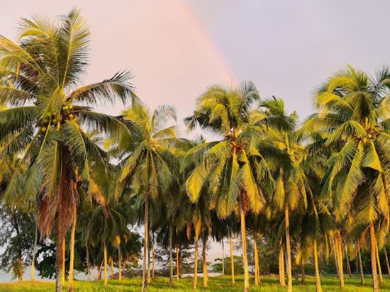 Фото Sichon Hideaway