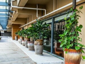 Гостиница StarwayHotel