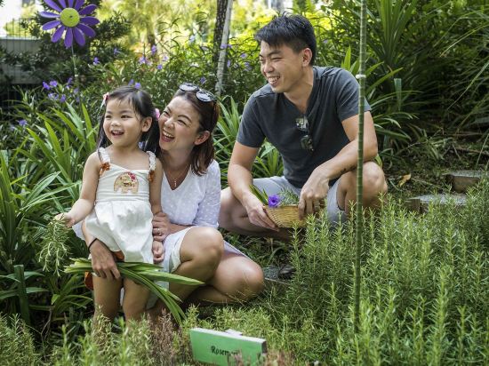 Фото Novotel Singapore On Stevens