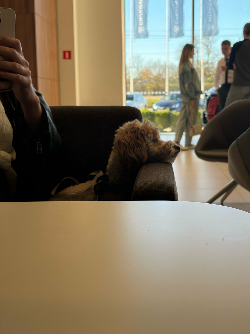 review_photo