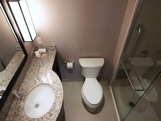 Фото Holiday Inn New York City - Times Square