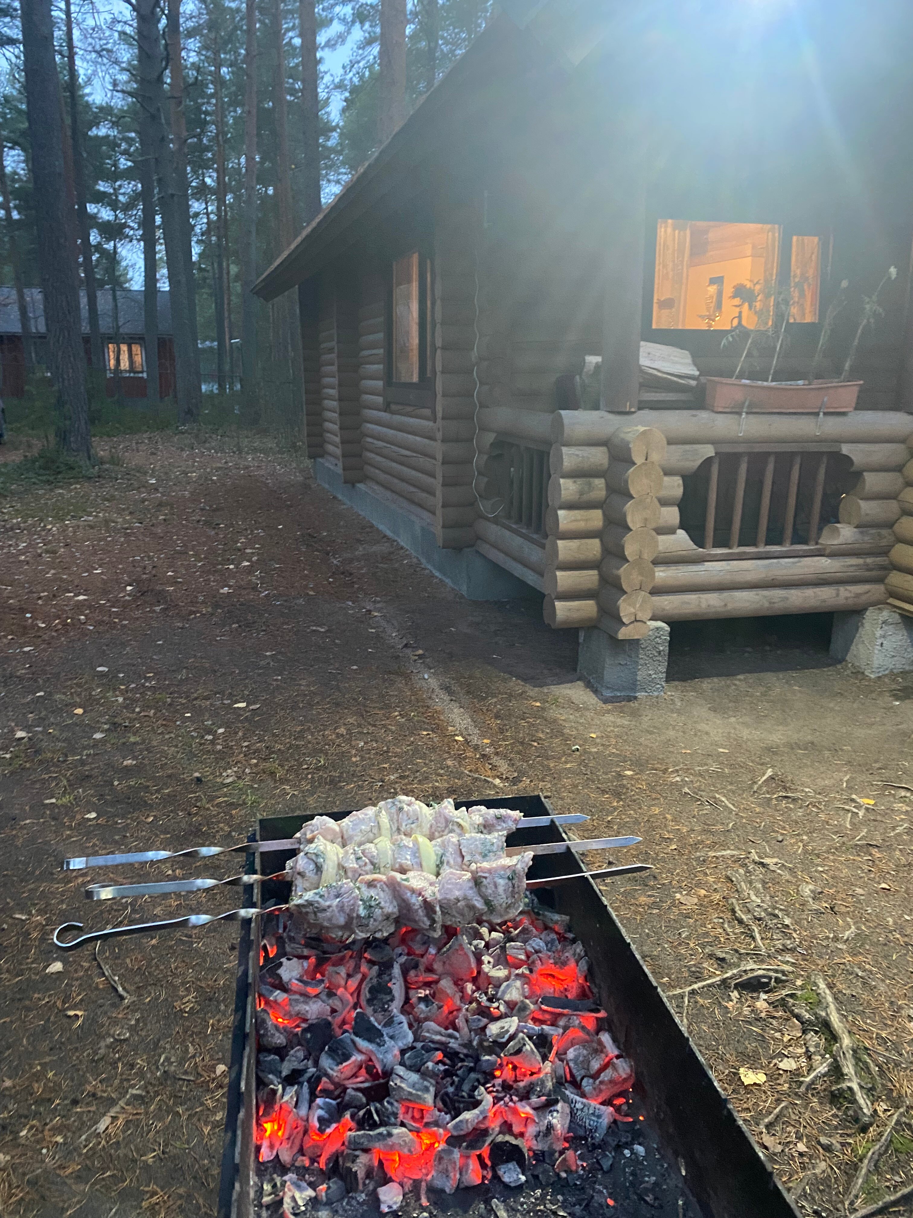 Фото Брусника