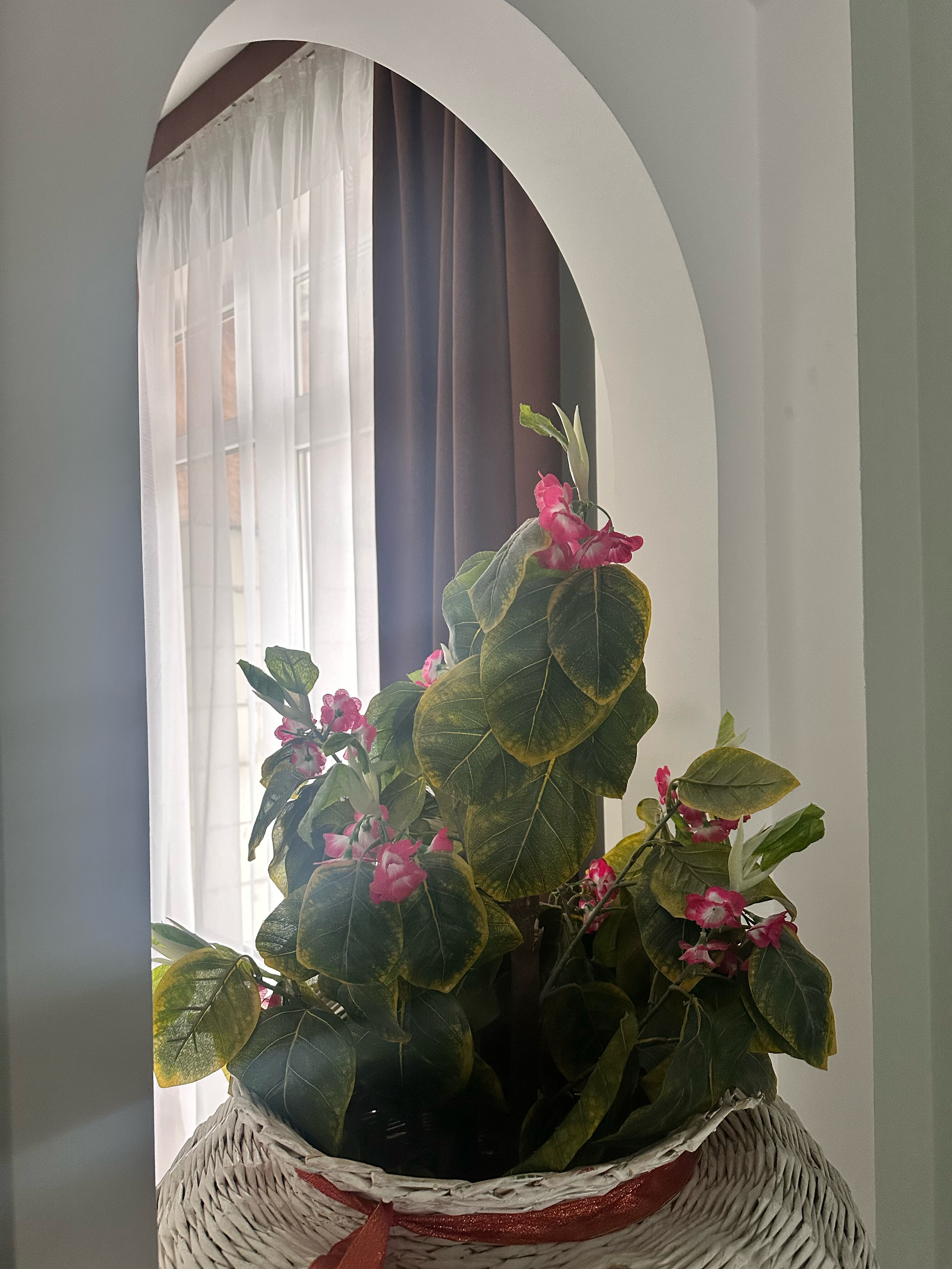 Фото Чёрная жемчужина