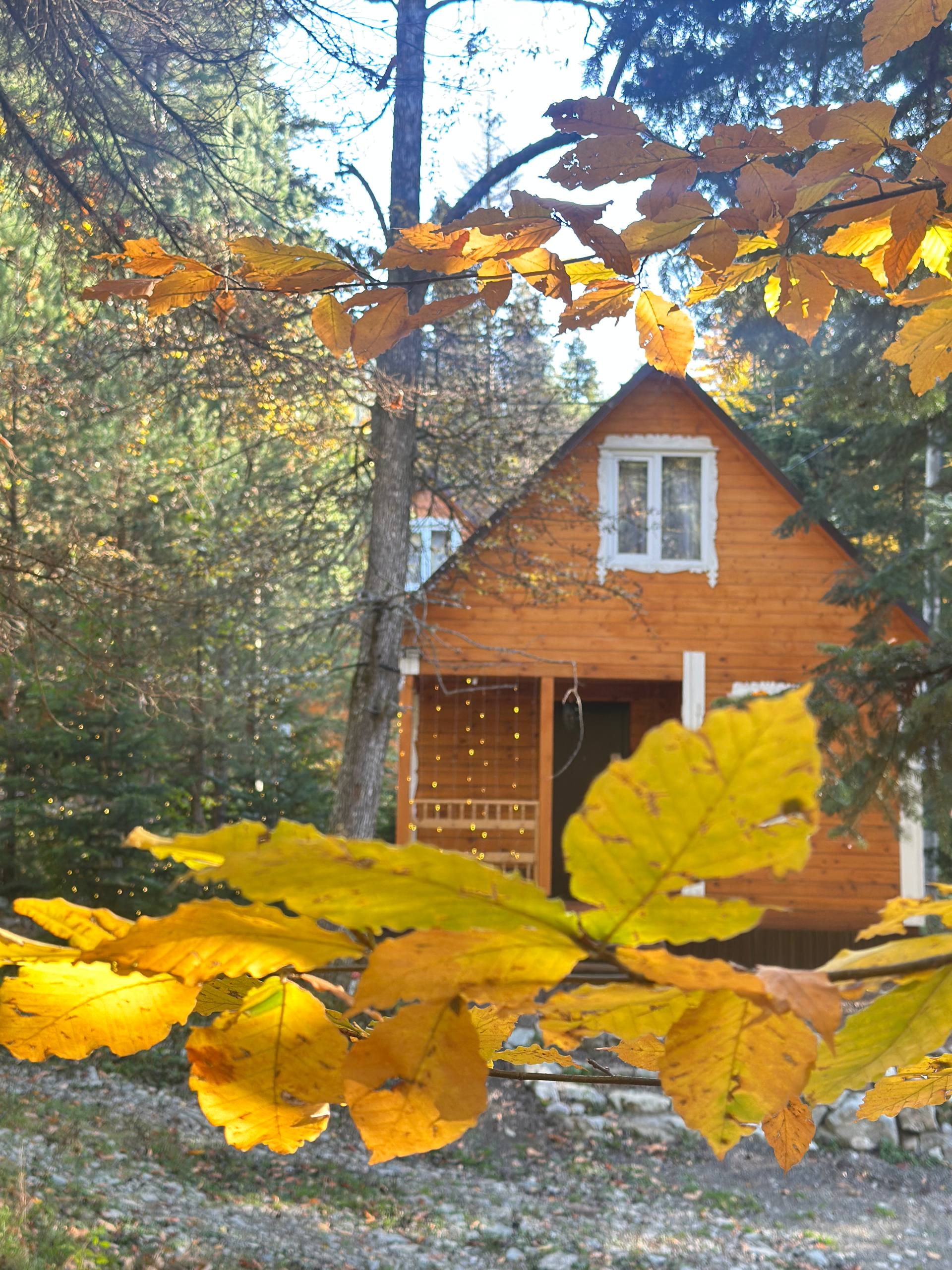 Фото Мухоморье