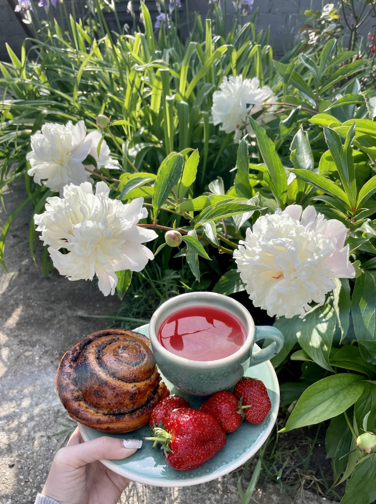 Фото Вилла Велена