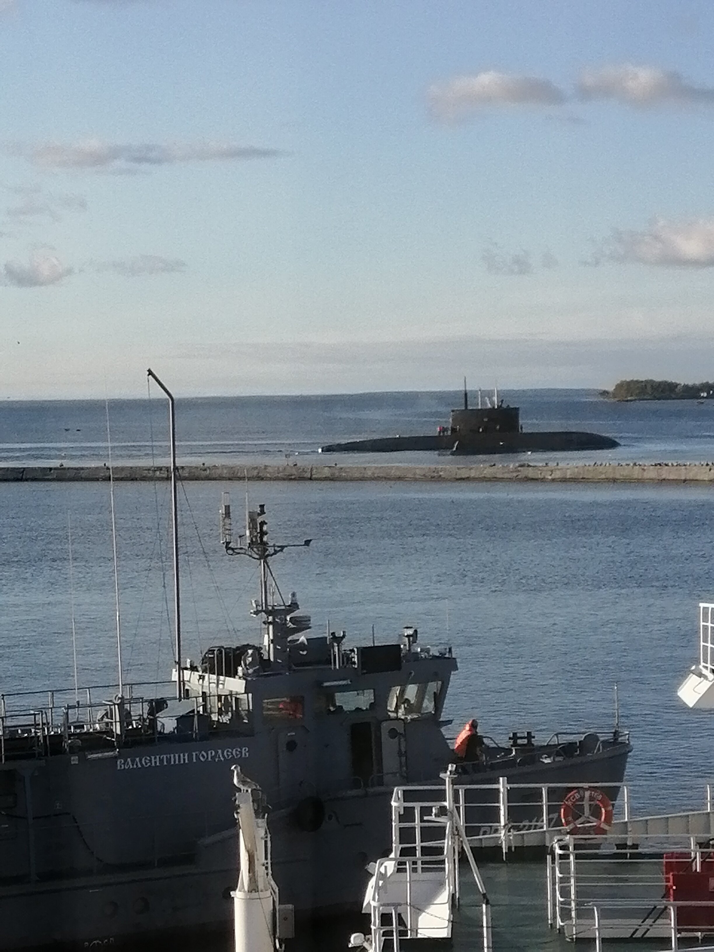 Фото Золотой якорь