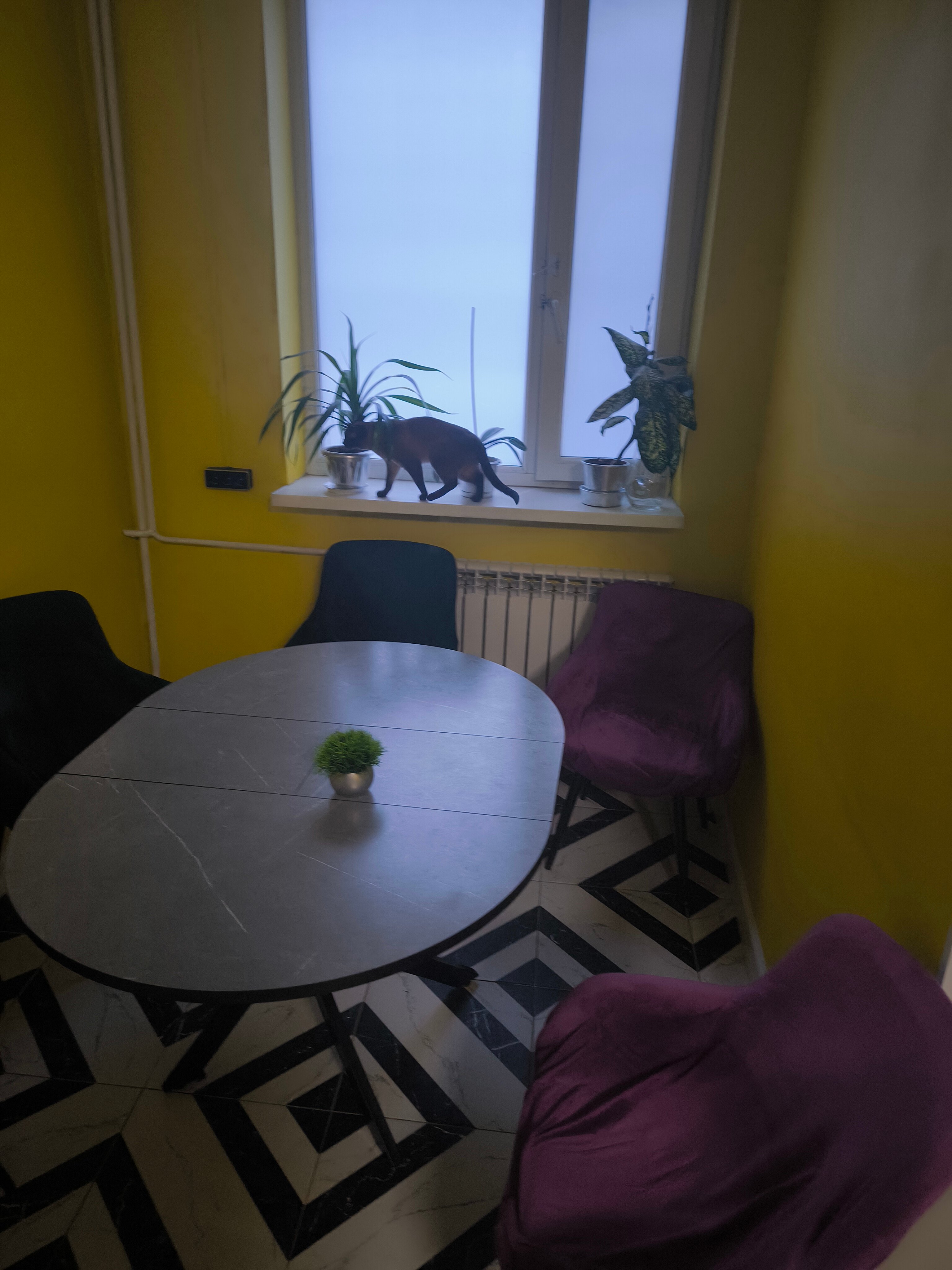 Фото Точка Дмитровская