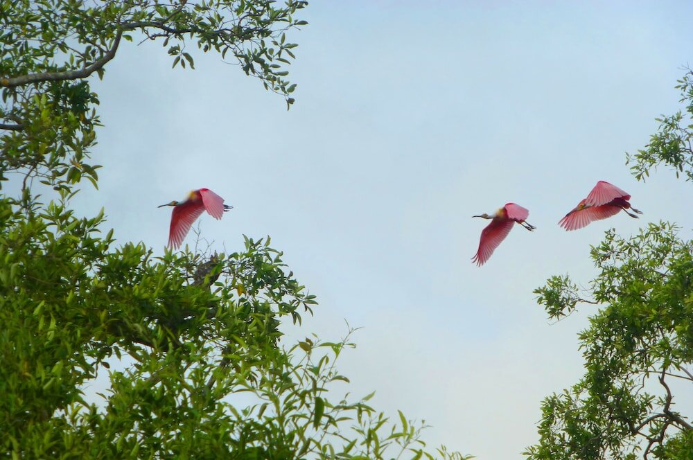 Фото Hotel Boutique Lagarta Lodge