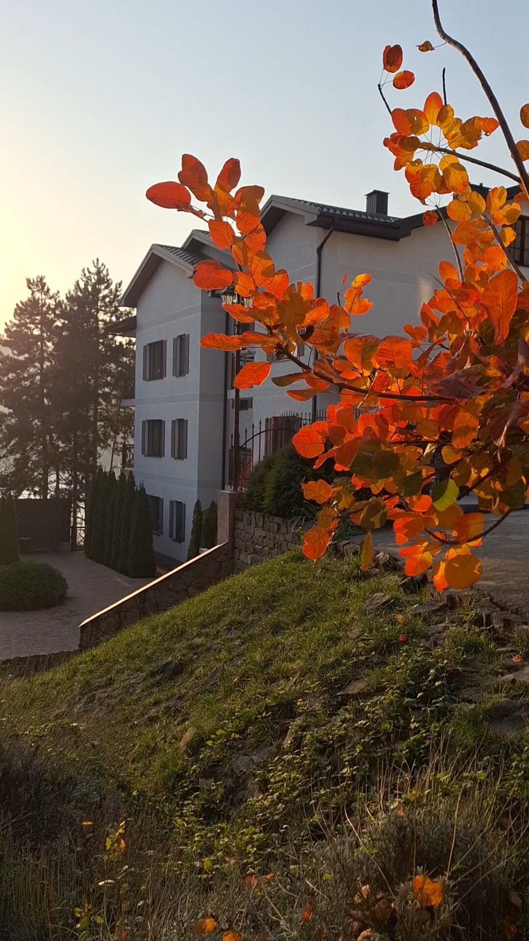 Фото Винтаж