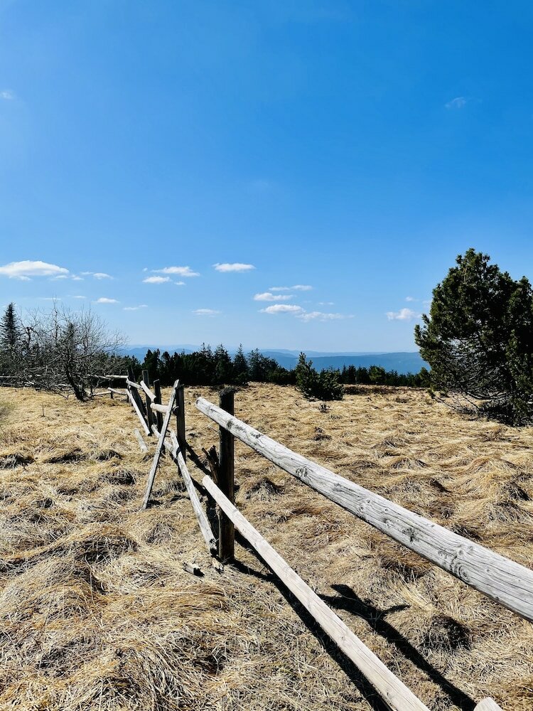 Фото Hotel Kull von Schmidsfelden