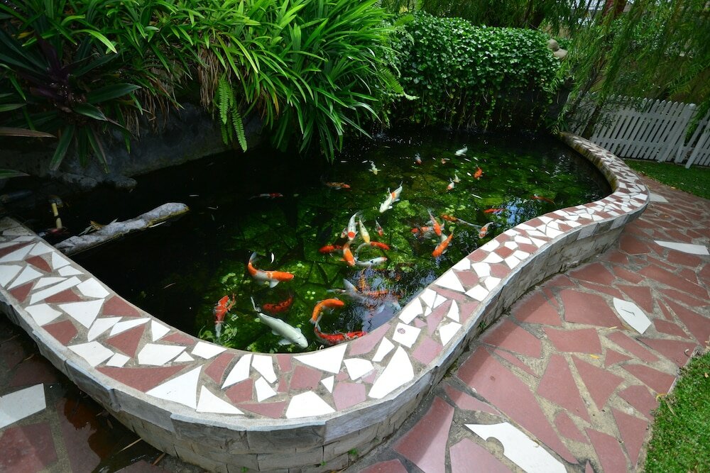 Фото Lanvin Hotel