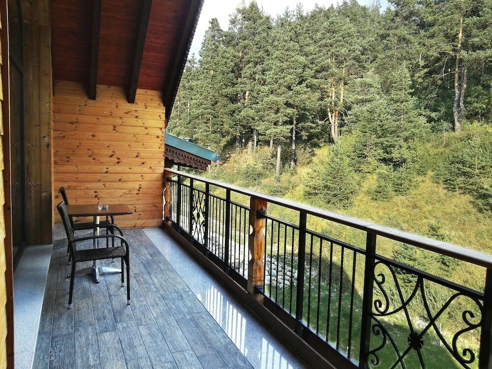 Фото Hot Springs Medical and SPA Hotel