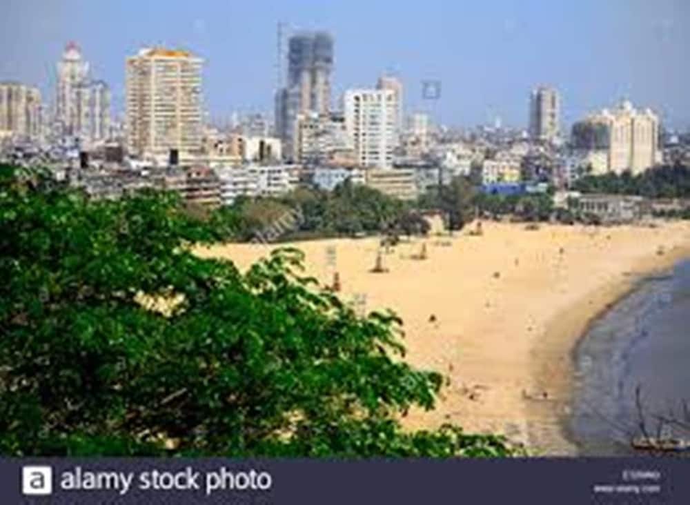 Фото Hotel Ak International