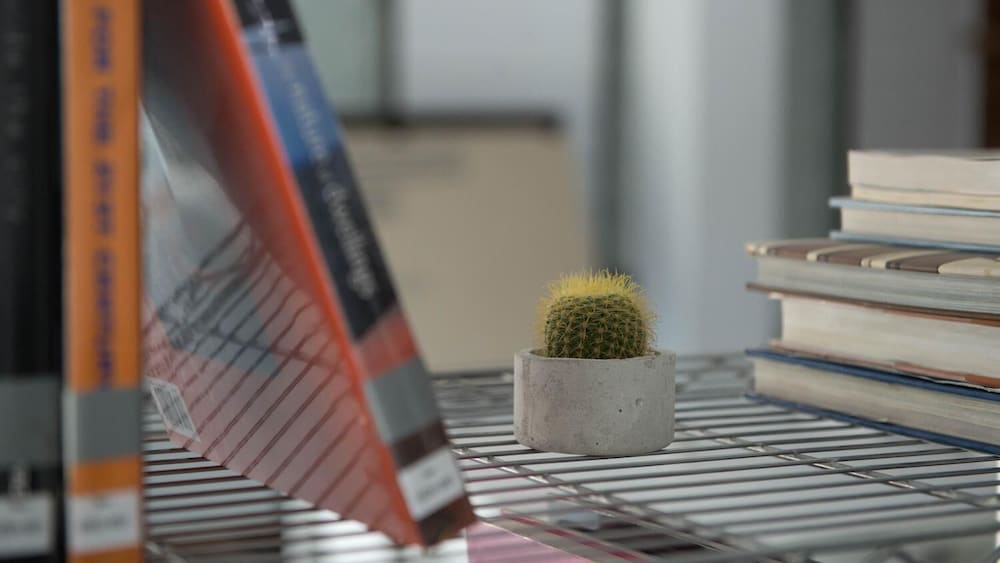 Фото Veethara Boutique Hotel