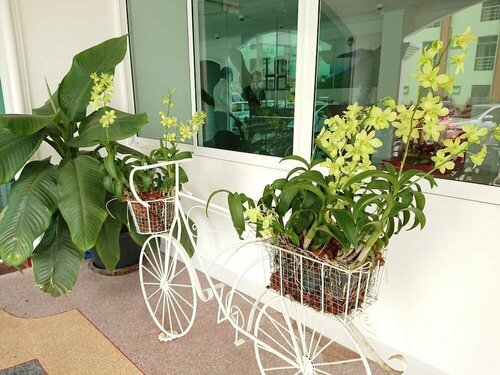 Гостиница The Royal P Boutique Hotel на Пхукете