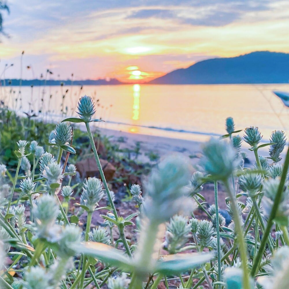 Фото Bang Saphan Resort Hotel