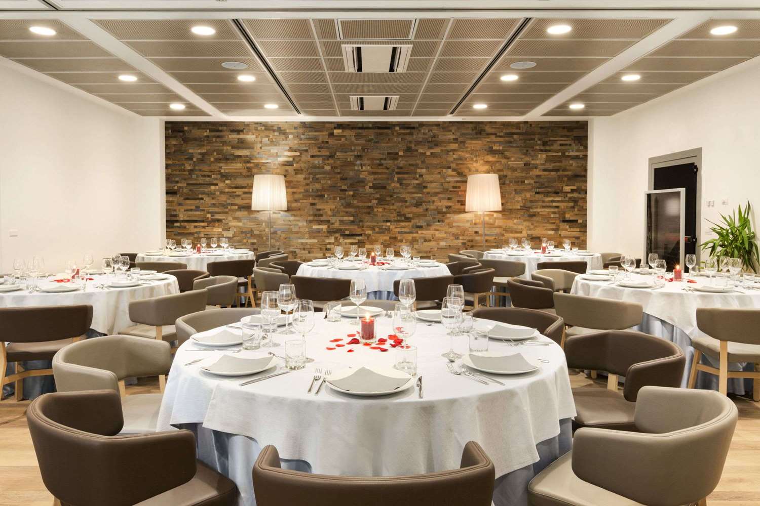 Фото Mitico Hotel