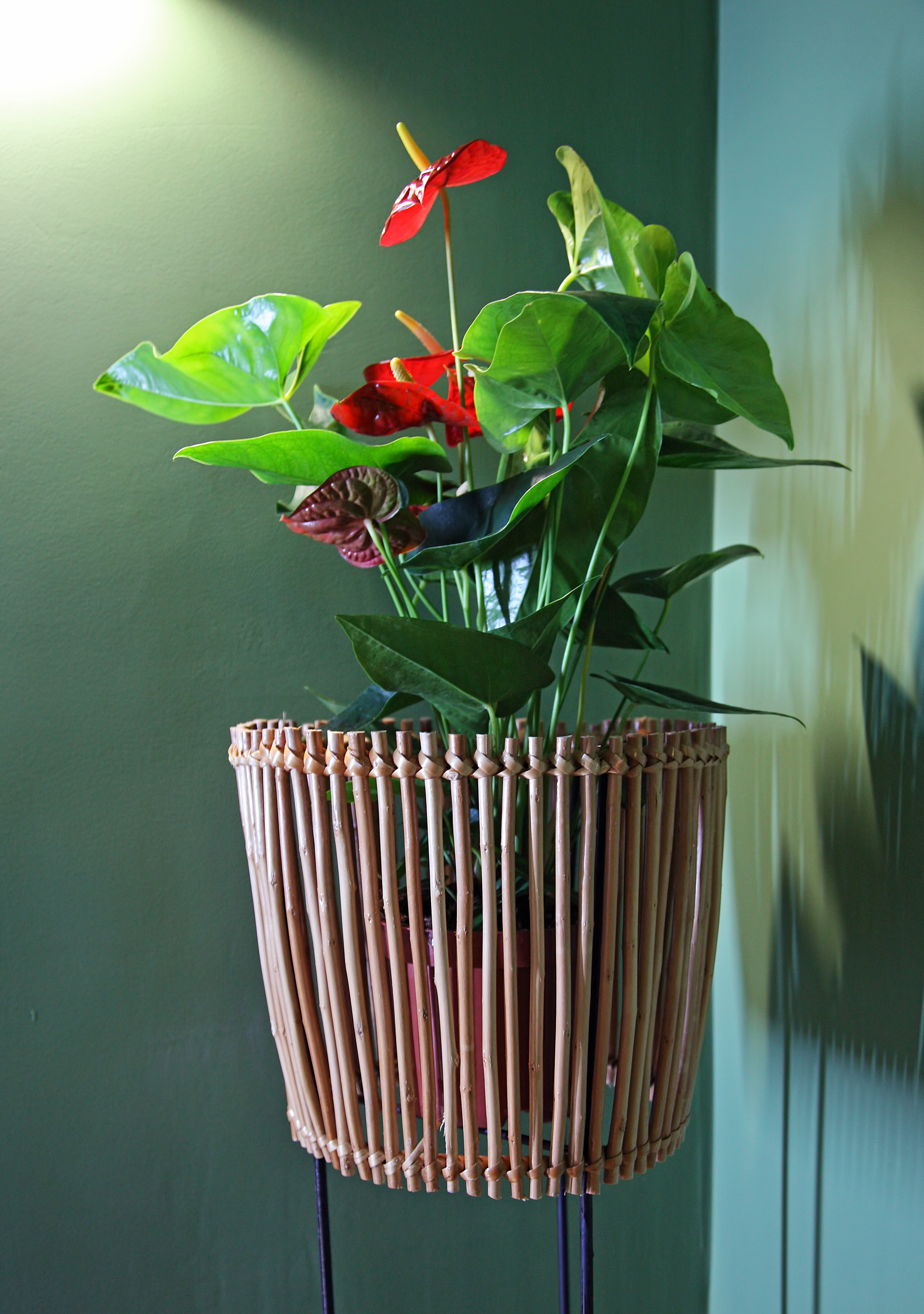 Фото 29 Madeira Hostel