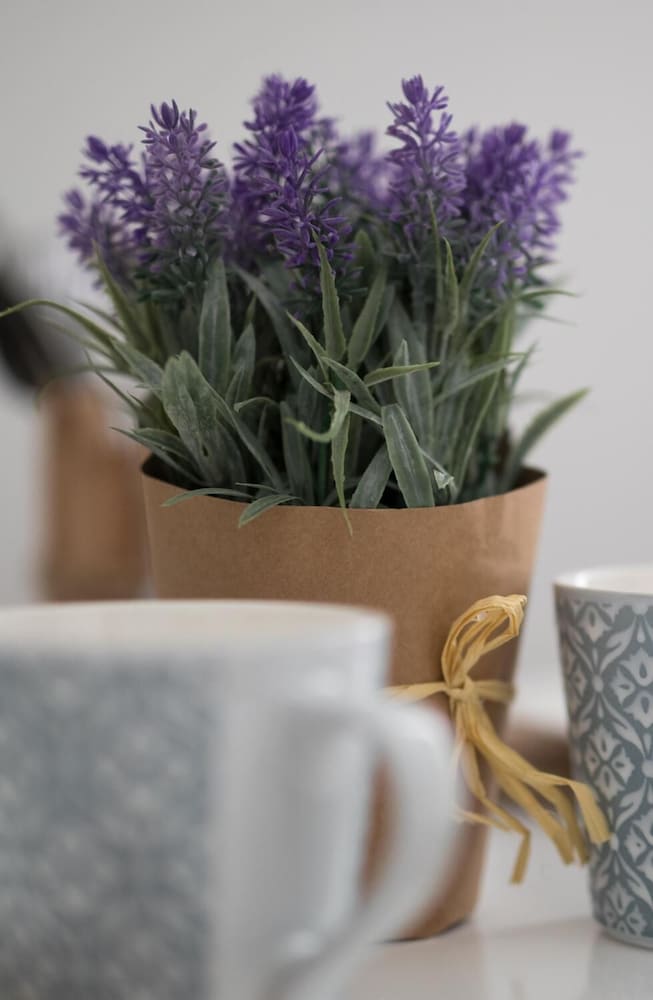 Фото Budapest Passage