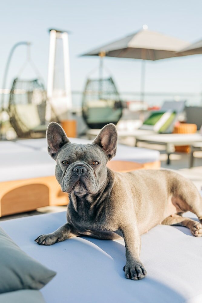 Фото Montrose at Beverly Hills