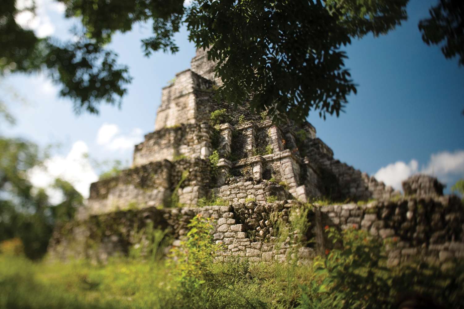 Фото Nizuc Resort and SPA