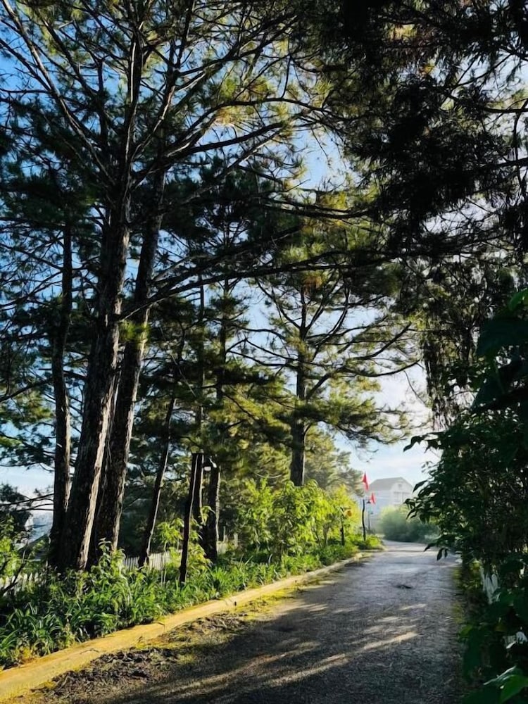 Фото Dalat Train Villa