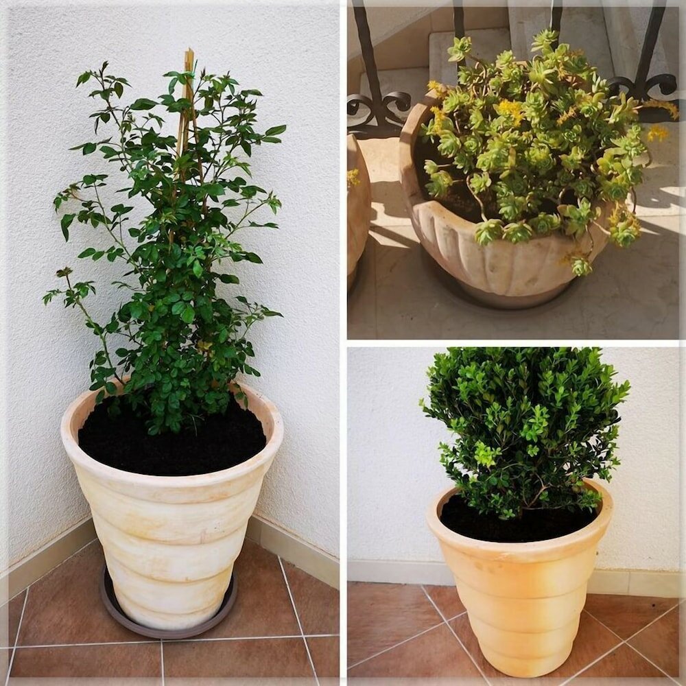 Фото Villa Kate Dadic