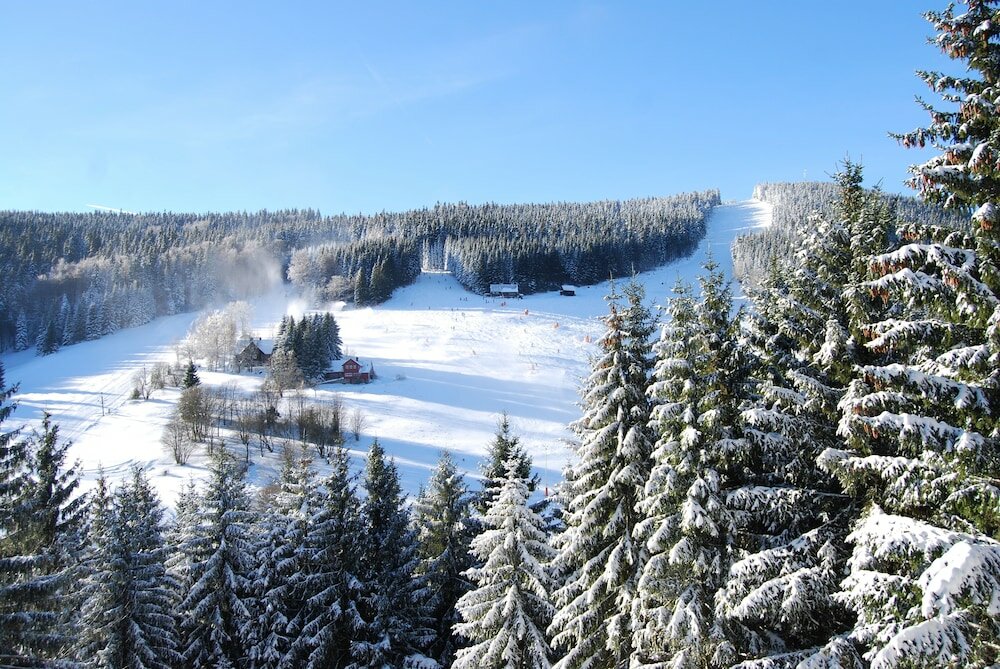 Фото Pytloun Wellness Hotel Harrachov