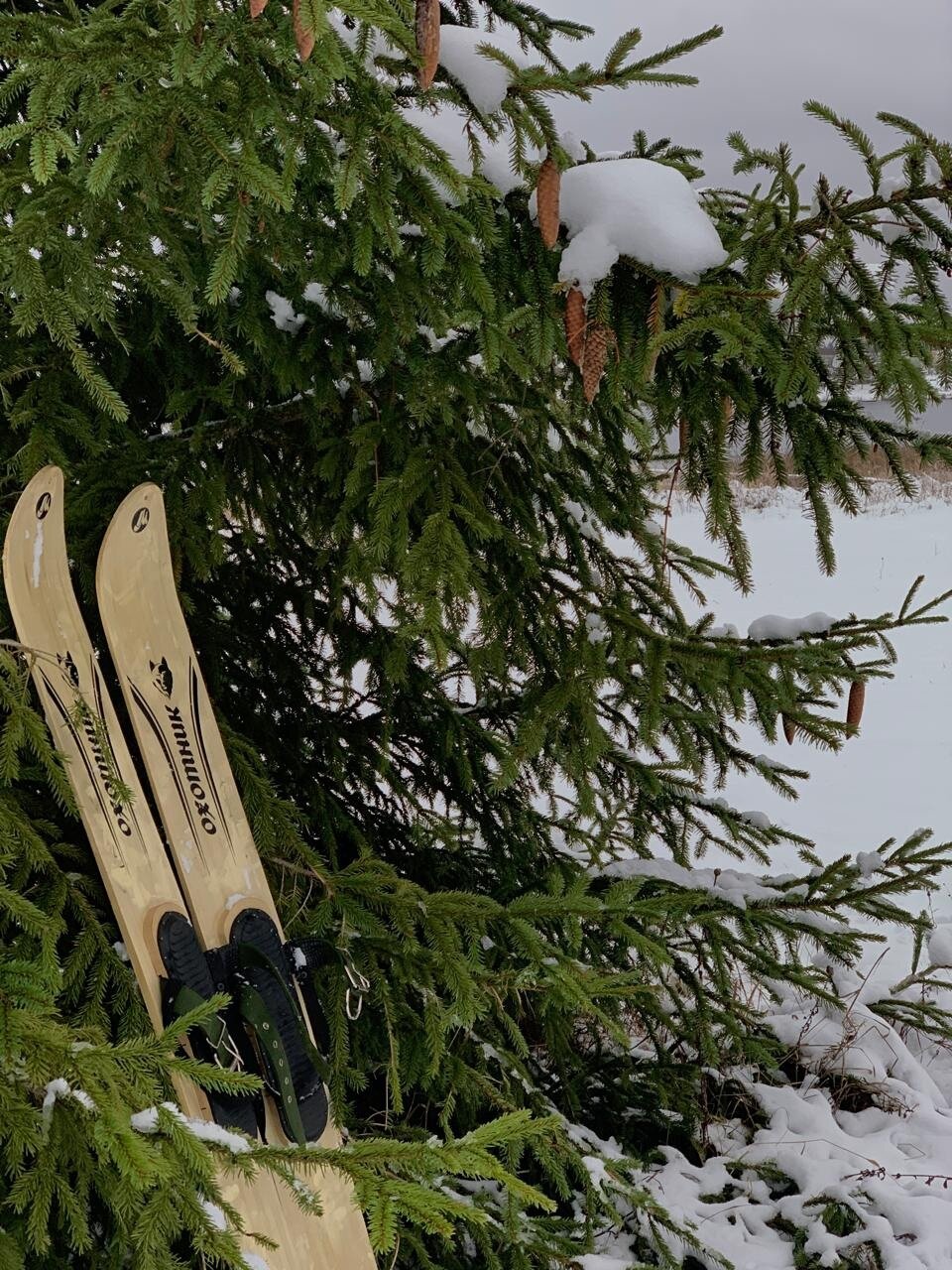 Фото Мыза Иногоща