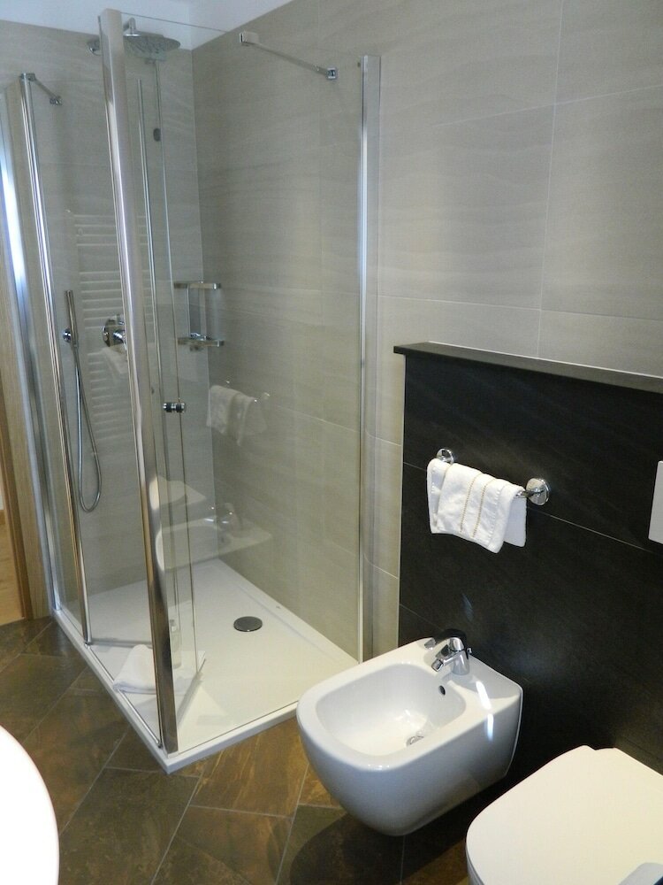 Фото Alba Alpine Hotel