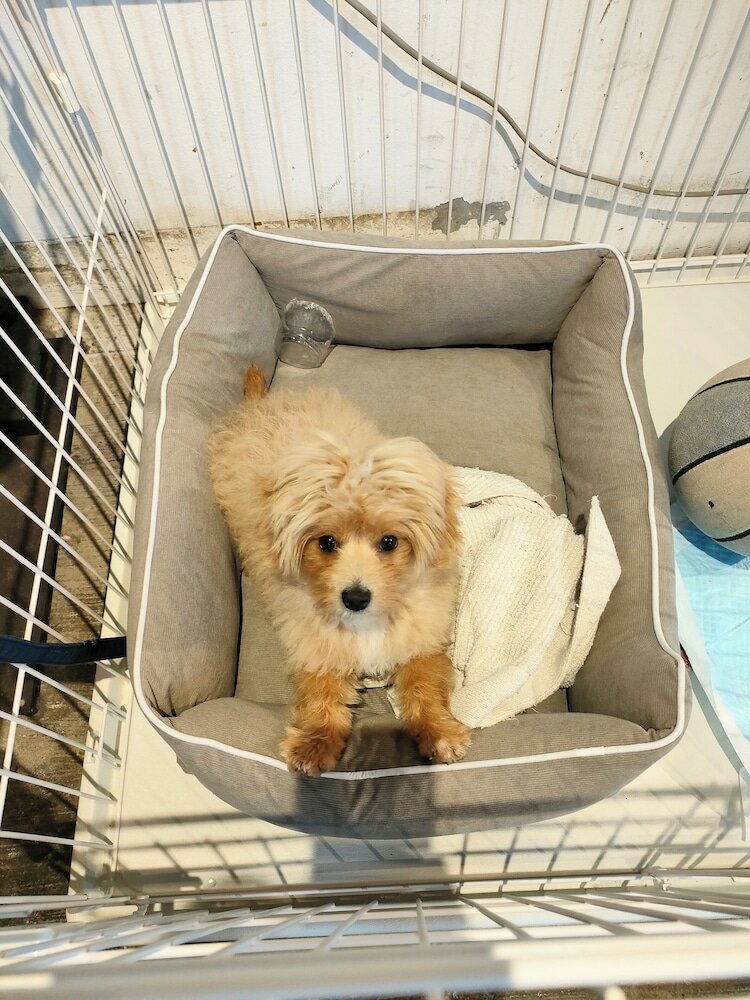 Фото Tokyo Guesthouse Oji Music Lounge