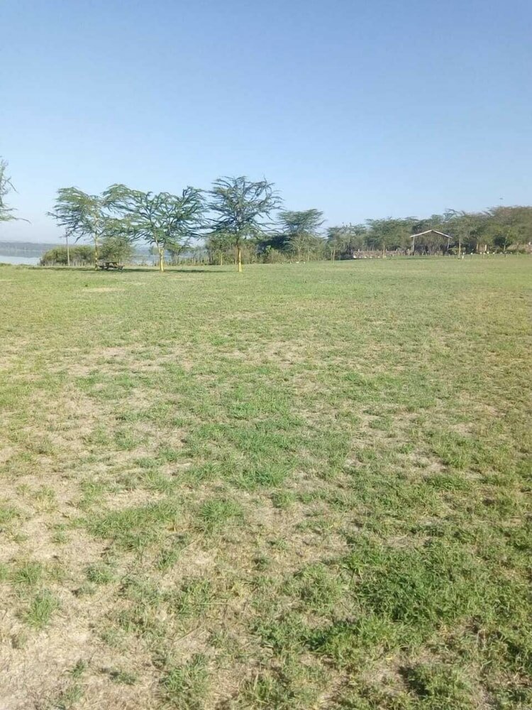 Фото Duara Flamingo Camp