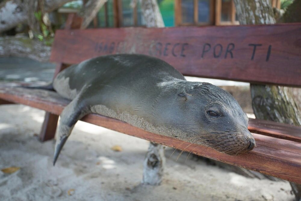 Фото El Paraiso de Isabela