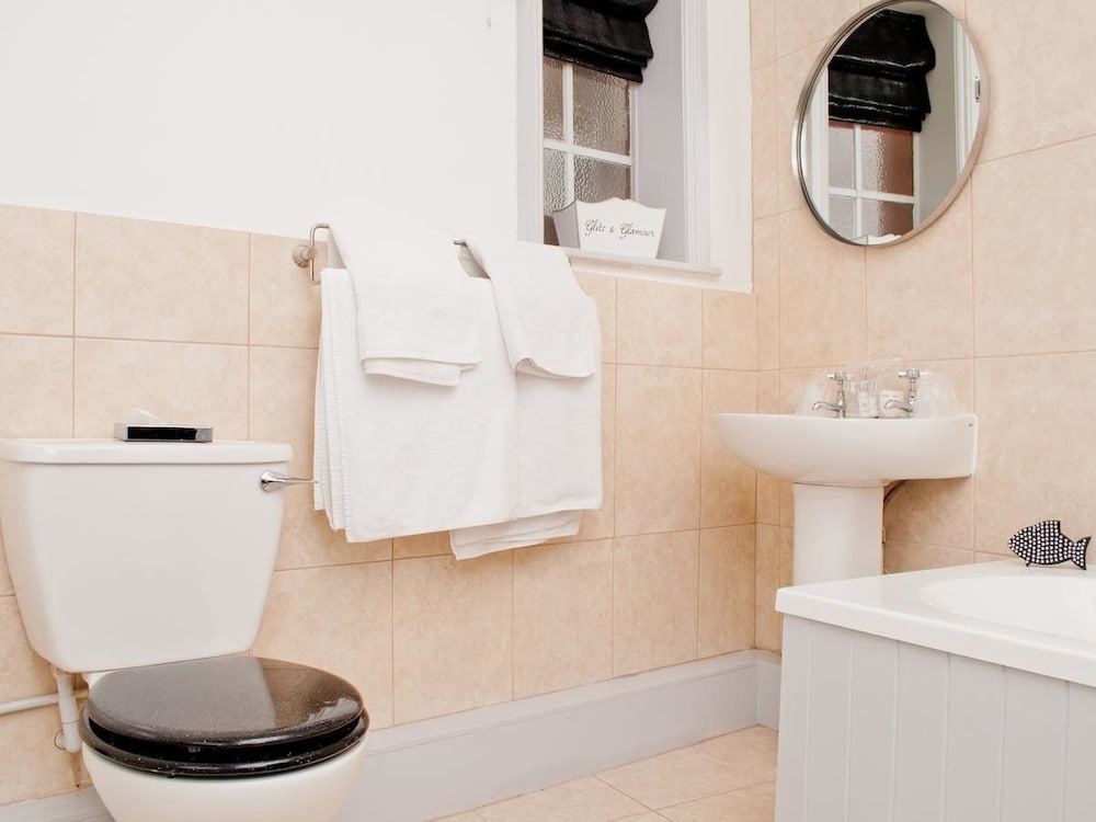 Фото The Loopy Shrew