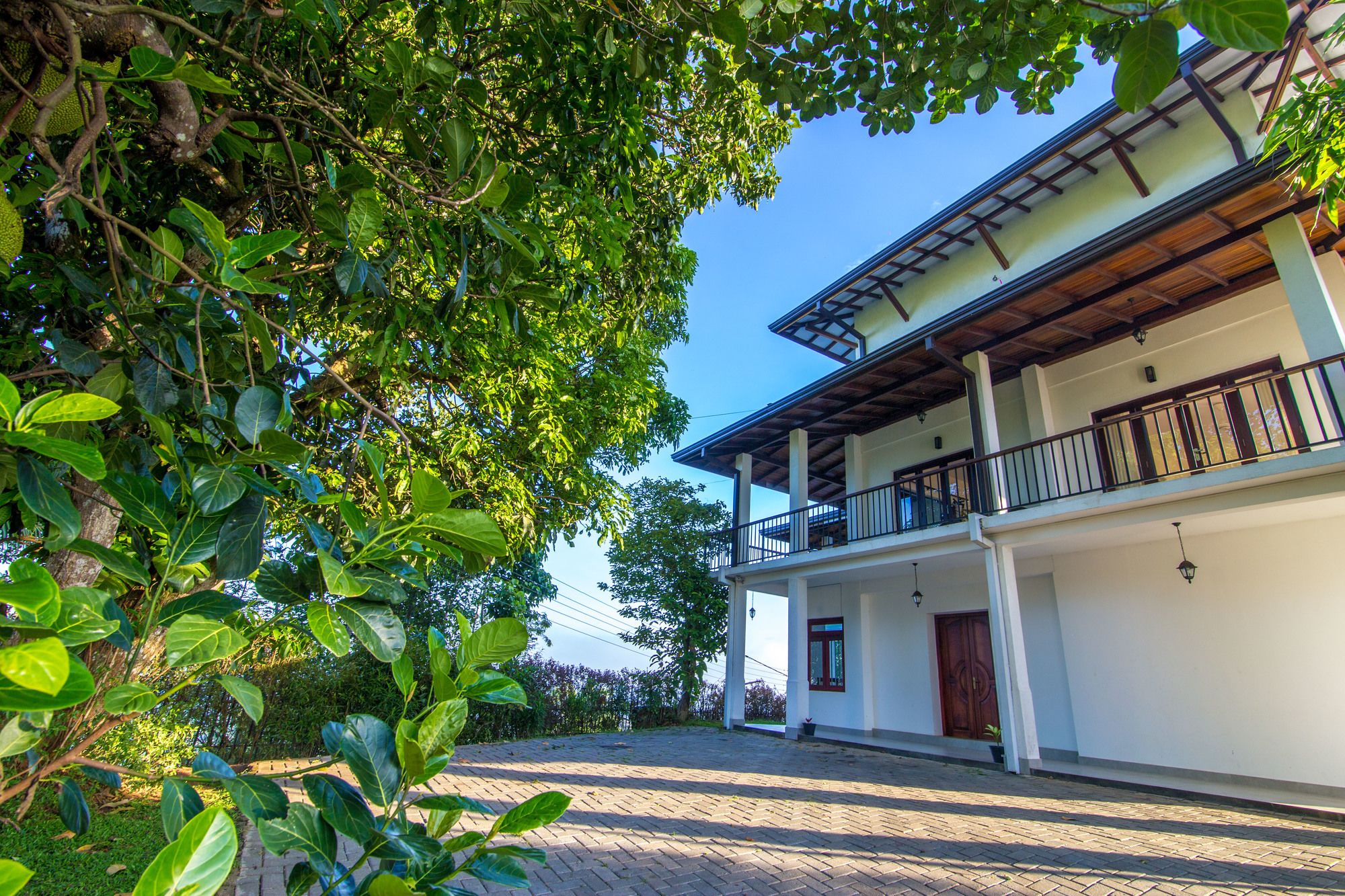 Фото Jack Tree Lodge