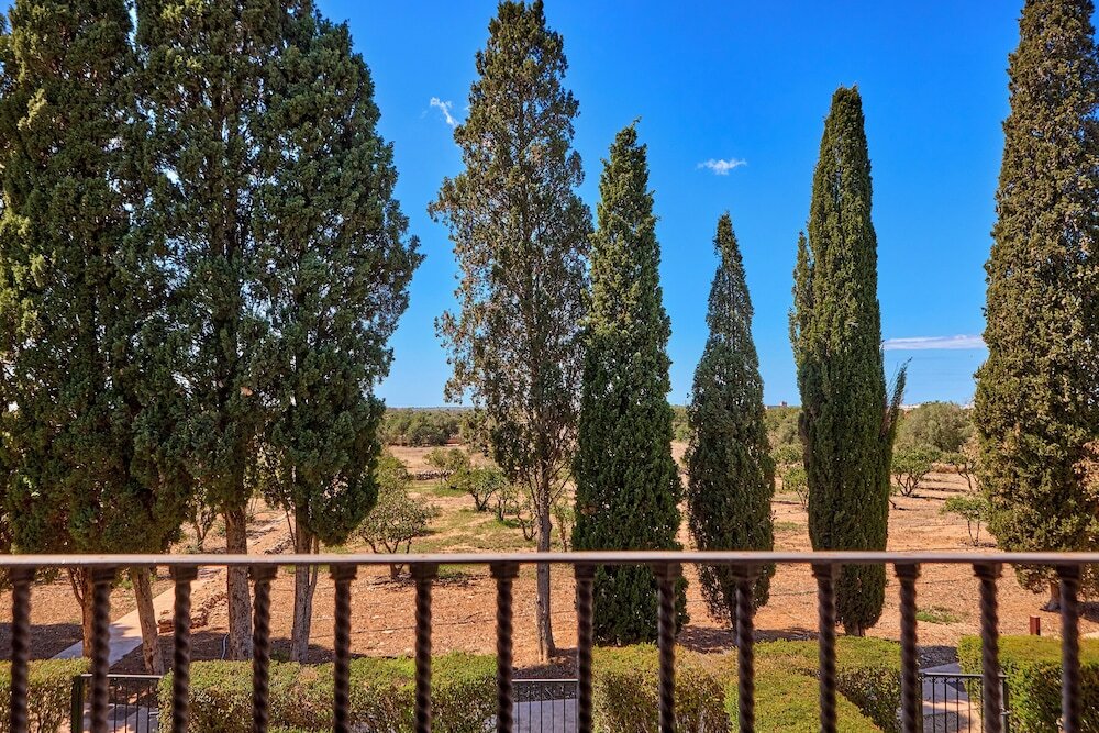 Фото Son Julia Country House & SPA