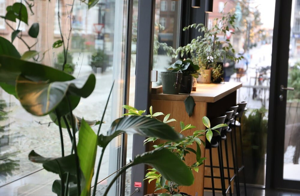 Фото Hotel Britannia