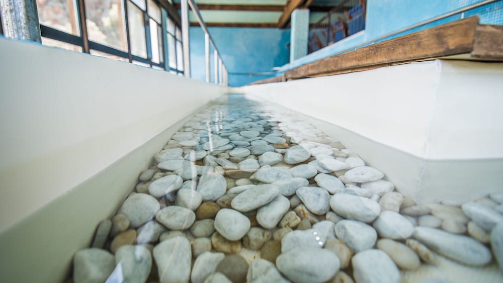 Фото Hotel Terme di Casteldoria