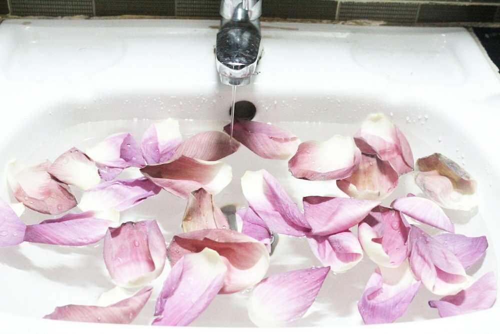 Фото The Siem Reap Chilled Backpacker