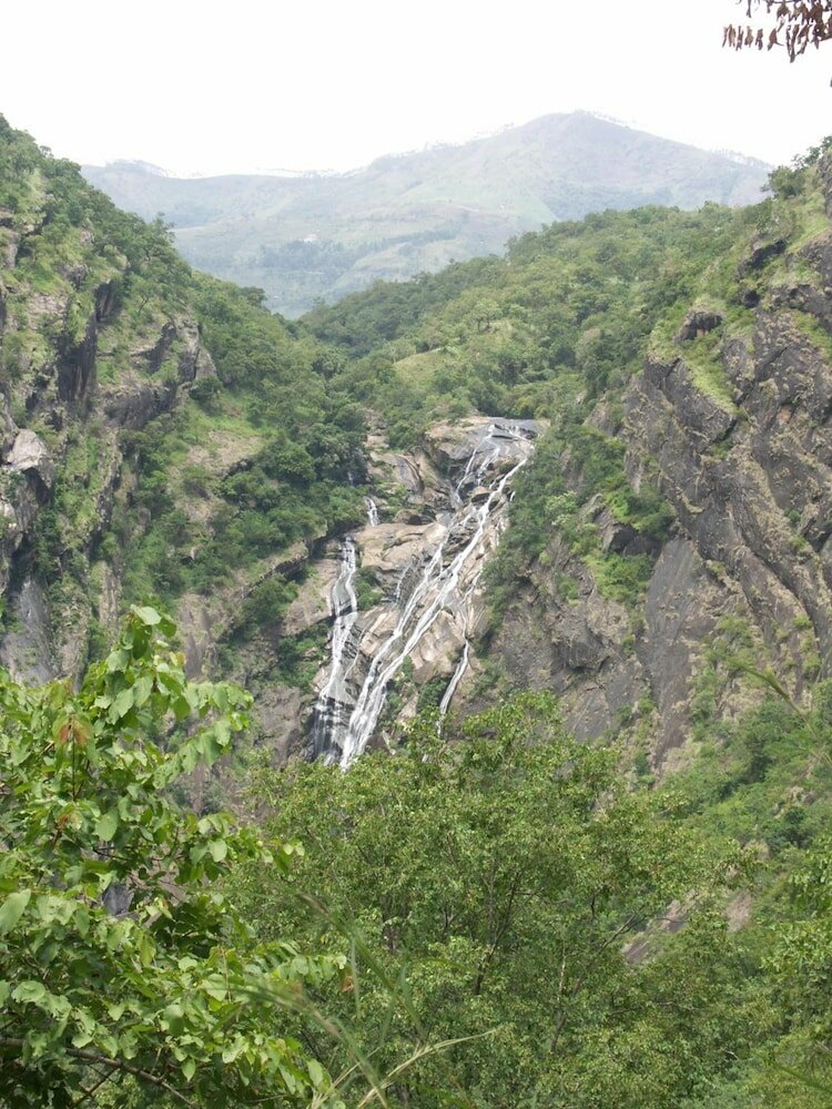 Фото Elephant Valley